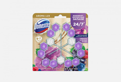 Блок для очищения унитаза Domestos