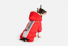 Комбинезон для собак Arnydog
