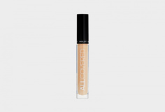 Консилер для лица Inglot