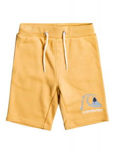 Детские спортивные шорты Easy Day 2-7 Quiksilver