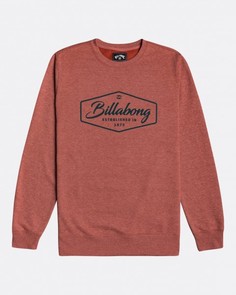 Мужская Толстовка Billabong Trademark