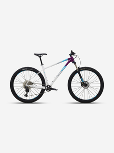 Велосипед горный Polygon Xtrada 7 29", Фиолетовый