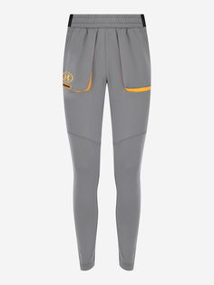 Брюки мужские Under Armour Terry Evolution, Серый