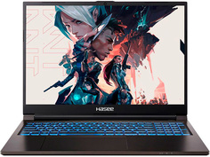 Ноутбук Hasee T8-DA7NP+ (Intel Core i7-12700H 2.3GHz/16384Mb/512Gb SSD/nVidia GeForce RTX 3060 6144Mb/Wi-Fi/Cam/16/2560x1600/Free DOS)