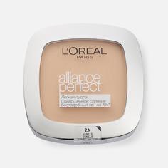 Пудра L`Oreal Paris Alliance Perfect N2 Ванильный