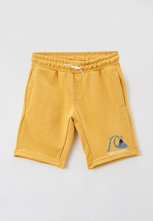 Шорты спортивные Quiksilver
