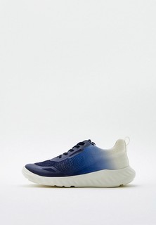 Кроссовки Ecco