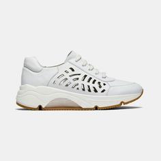 Кроссовки женские FALCO Ralf Ringer