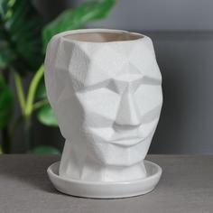 Цветочный горшок Керамика ручной работы Кай шелк 5364330 2 л белый 1 шт.