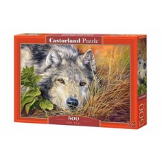 Пазл «Волчья грусть», 500 элементов Castorland