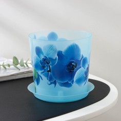 Цветочный горшок Idea для орхидей c поддоном деко Р00002314 1,2 л голубой 1 шт.