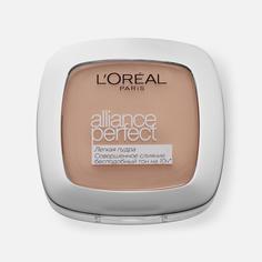 Пудра L`Oreal Paris Alliance Perfect 2.R/2.C