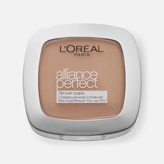 Пудра LOreal Paris Alliance Perfect 5.D/5.W