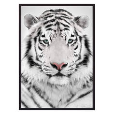 Постер в рамке Белый тигр 50х70 см Дом Корлеоне