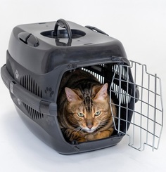 Переноска PetTails, серия "Спутник-2" (до 12 кг) 49 х 33 х 32см черная