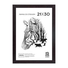 Рамка Зебра A4 21x30 см МДФ багет 18 мм венге 989397