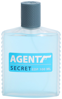 Туалетная вода мужская Agent Secret (Агент Секрет), 100 мл. 7787369 Delta Parfum