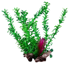 Искусственное растение для аквариума Пижон Аква на коряге зеленое 300 мм