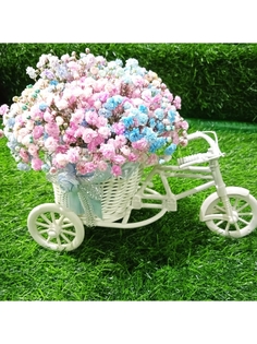 Цветочная композиция ЗЕФИРкО из радужной гипсофилы Велосипед