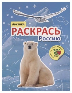 МОЗАИКА-СИНТЕЗ Арктика (Раскрась Россию), раскраска с наклейками