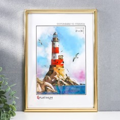 Фоторамка пластик "Палитра" 21х30 см, золото Platinum