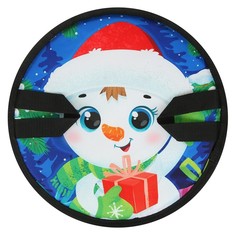 Ледянка Snow Cat 35х35 см, толщина 2 см