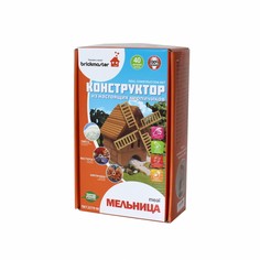 Конструктор керамический «Мельница», 604 Brickmaster