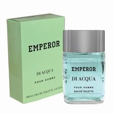 Туалетная вода мужская Emperor Di Acqua, 100 мл 5866321 Delta Parfum
