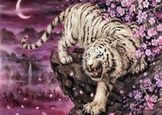 Алмазная мозаика стразами Ripoma Белый тигр 00115320 50х65 см