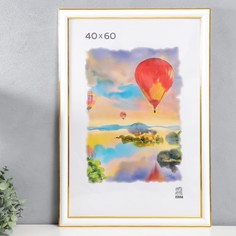 Фоторамка пластик 40х60 см (600) (пластиковый экран) Зебра