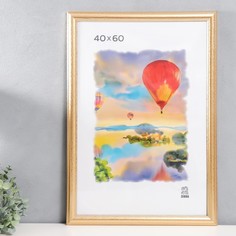 Фоторамка пластик 40х60 (609) (пластиковый экран) Зебра