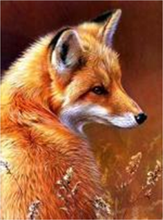 Алмазная мозаика стразами Ripoma Лисица 00114542 30х40 см