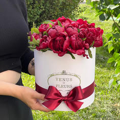 Цветы в коробке Venus in Fleurs Бордовые пионы в коробке 811984