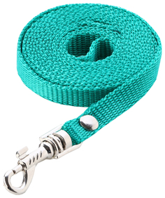 Поводок Пижон капроновый 1,6 м х 1 см зеленый