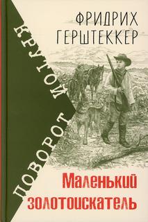 Книга Маленький золотоискатель