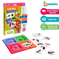 Сортер Изучаем животный мир с карточками Домана Iq Zabiaka