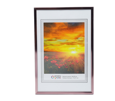 Фоторамка Fotografia 20x30 см, FFAL-8305 алюминий, бронза