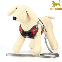 Комплект амуниции с мягкой шлейкой, размер S (ОШ 20-40, ОГ 30-44 см, поводок 120х1 см) Пижон