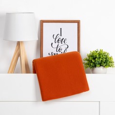 Плед Экономь и Я Коричневый 150x180 , пл.160 г/м2, 100% п/э