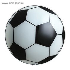 Светильник настенно-потолочный Мяч 2 лампы E27 40Вт д.300 h.5,5 см. Bayer Lux