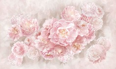 Фотообои бесшовные Розовые пионы на стенуВ280смхШ466 см, Master Fresok