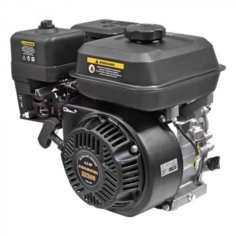 Двигатель CARVER EX200 01.010.00149