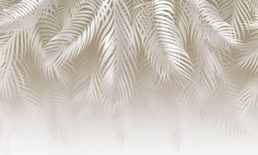 Фотообои бесшовные Светло-бежевые перьяВ280смхШ467 см, Master Fresok