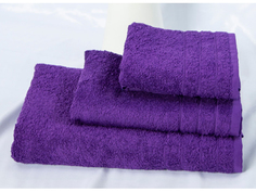 Полотенце махровое Элемент 50*100 03-057 баклажан Clever