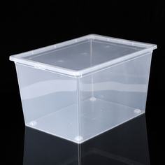 Ящик для хранения с крышкой, 50 л, 53×38×30 см, цвет прозрачный Idea