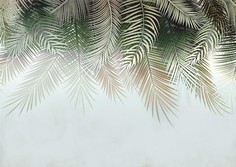 Фотообои бесшовные Зеленые перьяВ280смхШ396 см, Master Fresok
