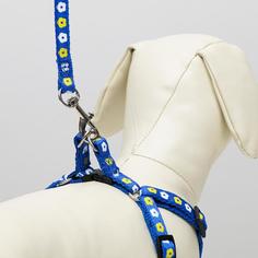 Пижон прошитый, "Цветы", ширина 1 см, поводок 120 см, шлейка 26-41 см, темно-синий