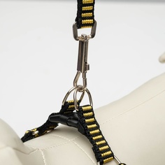 Пижон рельефный, 1,5 см, шлейка 36-49 см, поводок 120 см, желто-черный