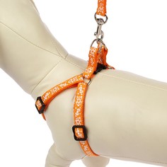 Пижон прошитый, Бантики, ширина 1 см, поводок 120 см, шлейка 23-32 см, голубые лапки