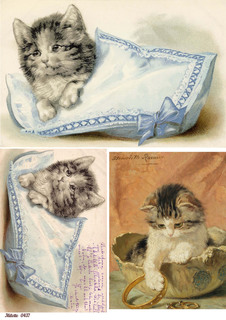 Рисовая бумага для декупажа карта салфетка А4 Milotto 0437 котик кошка котёнок
